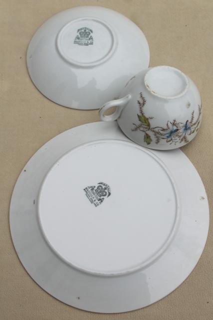 antique 1800s English ironstone china transferware dishes set for 8