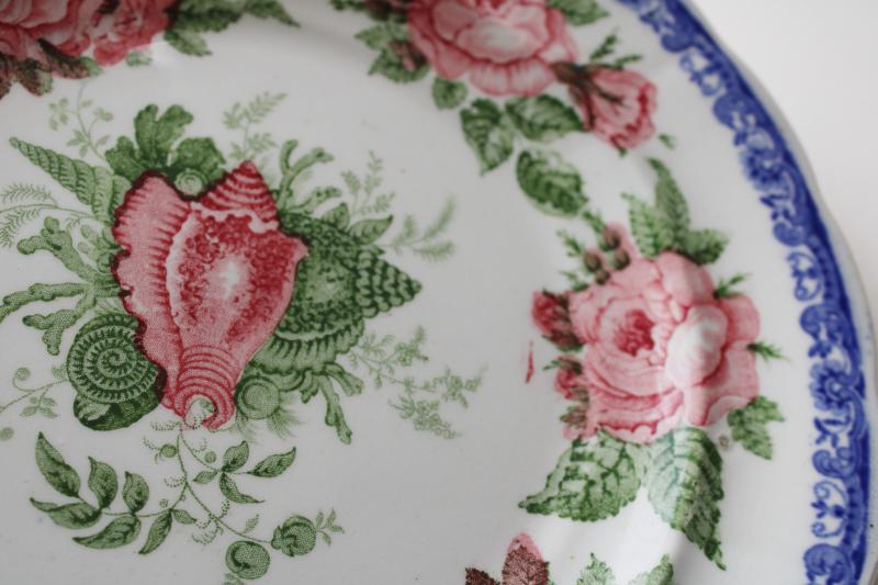 antique 1830s English transferware china plate, moss rose & seashell pattern blue pink green