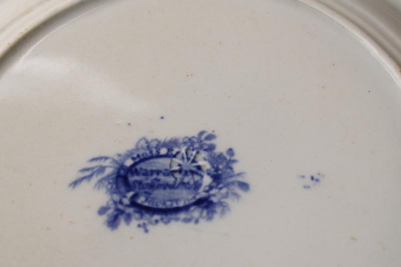 antique 1830s English transferware china plate, moss rose & seashell pattern blue pink green