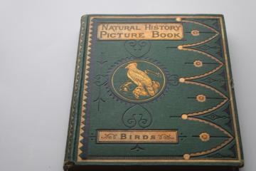antique 1870s Natural History Picture Book of Birds, Victorian vintage embossed gold cover