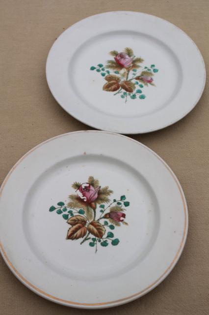 antique 1890s Meakin moss rose ironstone china - plates, cups & deep saucers