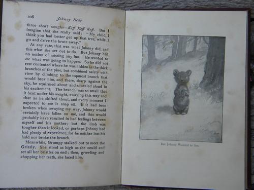 antique 1902 Krag and Johnny Bear Ernest Thompson Seton animal stories
