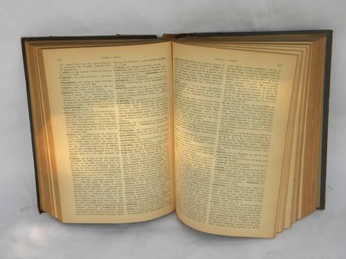 antique 1903 German - Latin / Latin - German dictionary