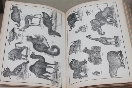 antique 1906 four volume reference library, Hill's pratical illustrated encyclopedia books