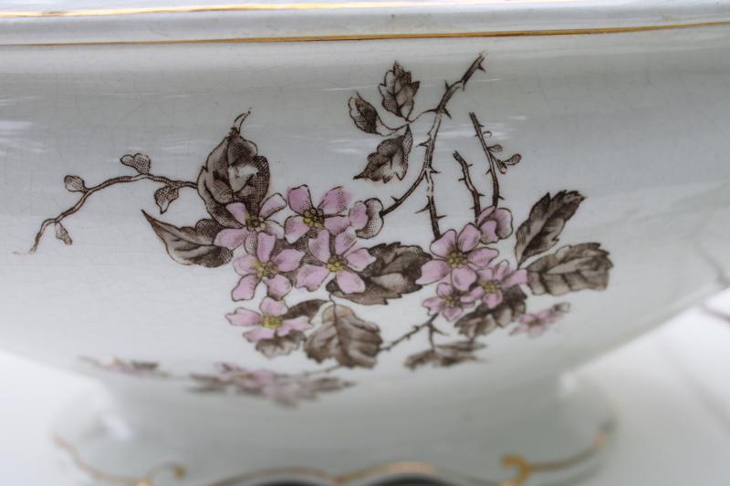 antique English ironstone china soup tureen, pink & brown transferware floral