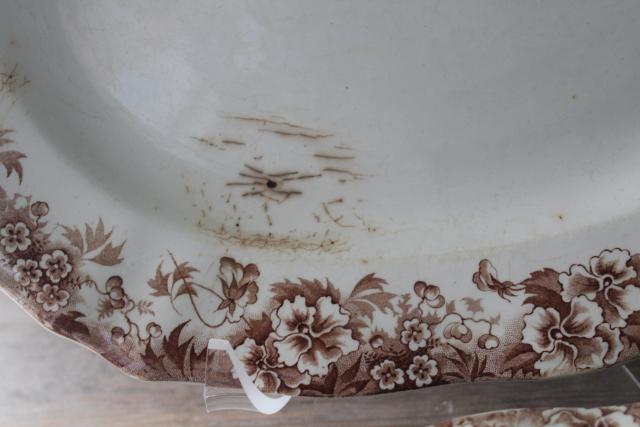 antique English transferware china platter oval bowl, brown transfer pansy pattern floral