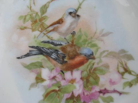 antique German china bowl w/ birds in a flowering tree, vintage Germany mark