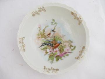 antique German china bowl w/ birds in a flowering tree, vintage Germany mark