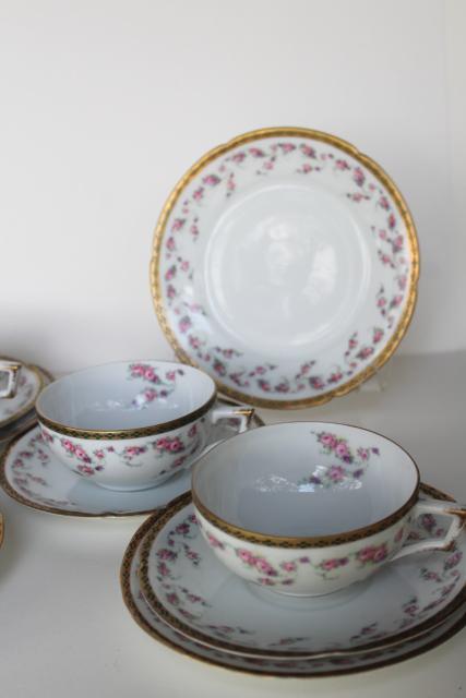 antique Imperial Austria porcelain tea cup / plate trios for 8, Alma rose floral band