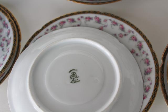 antique Imperial Austria porcelain tea cup / plate trios for 8, Alma rose floral band