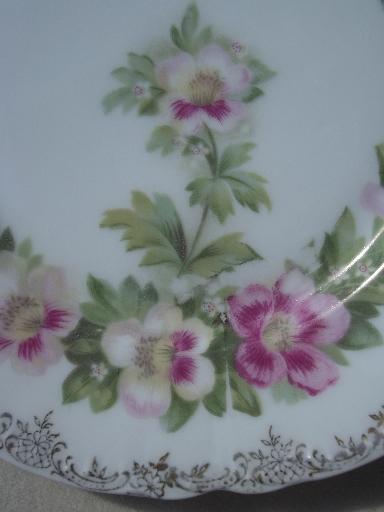 antique Malmaison Rosenthal Bavaria china plates, mallow pink floral 