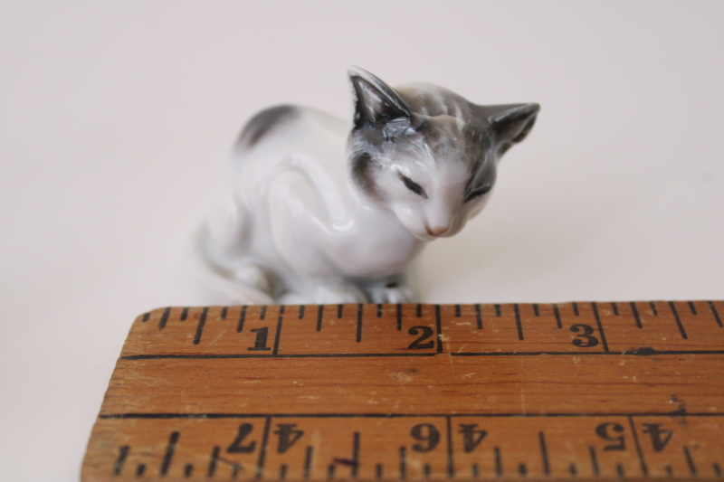 antique Rosenthal Selb Germany porcelain cat figurine, tiny kitty pre WWI vintage mark