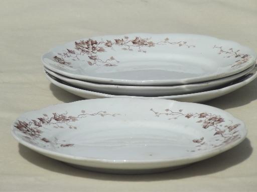 antique Staffordshire china, brown ivy floral transferware plates & bowls