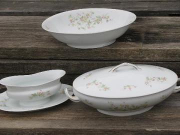 antique Victoria - Austria china, porcelain covered dish, gravy, bowl