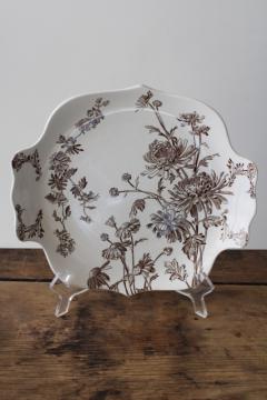 antique Victorian transferware china plate brown Chrysanthemum George Jones England 