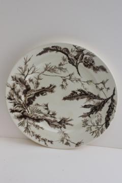 antique Wedgwood ironstone china plate seaweed aesthetic brown transferware
