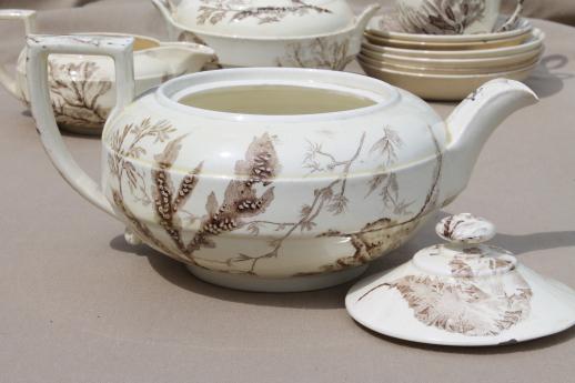 antique Wedgwood seaweed brown transferware china, aesthetic vintage tea set dishes 