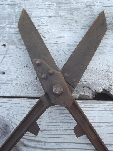 antique Wiss garden shears, vintage  hand hedge clippers loppers