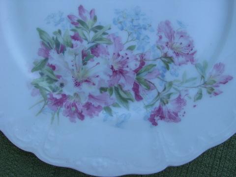 antique azalea lily floral china luncheon/dinner plates, vintage Germany?