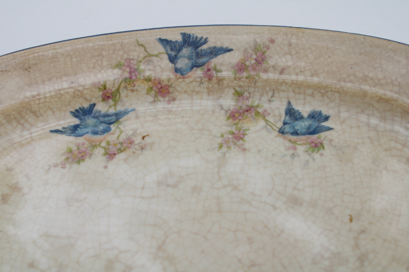 antique bluebird china platter or tray, shabby browned stained china early 1900s vintage