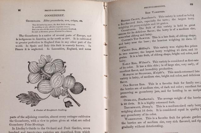 antique book American Gardener's Assistant dated 1866, illustrated w/ vintage engravings