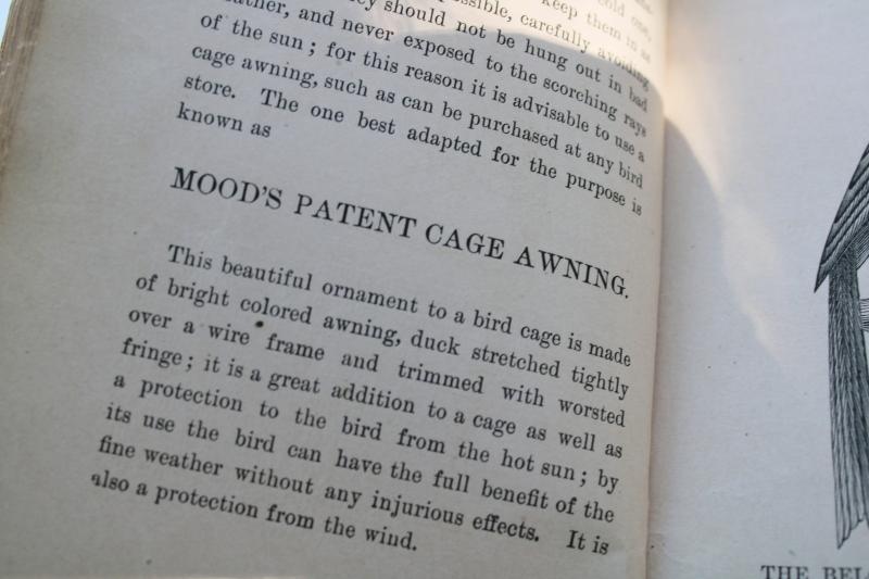 antique book Canary bird raising cage birds breeding & care, types of canaries