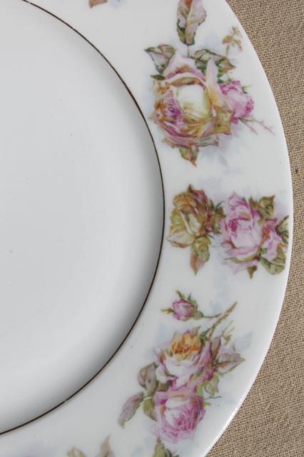antique cabbage rose border china plates, early 1900s vintage dessert set