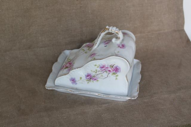 antique cheese server, cheese wedge cover w/ porcelain china plate, Victorian vintage tableware