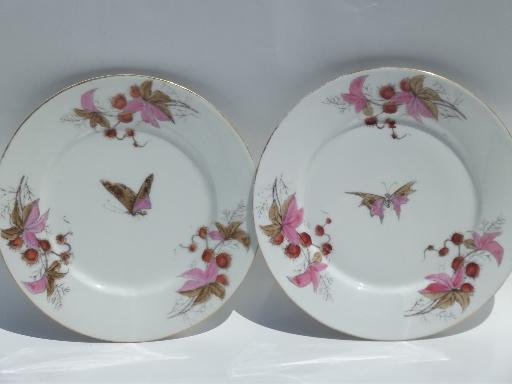 antique china plates and bowls, butterfly moth and horse chestnut art