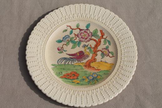 antique creamware china plate Indian tree of life Coalport Kingsware 