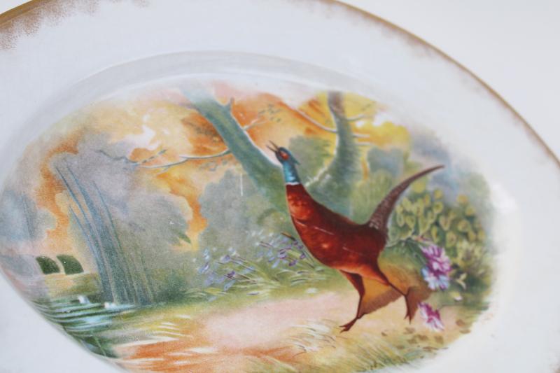 antique estate china, game bird serving platter w/ wild pheasant, turn of the century vintage
