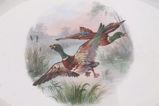 antique game birds china plate w/ flying ducks, shabby old Thanksgiving / Christmas platter
