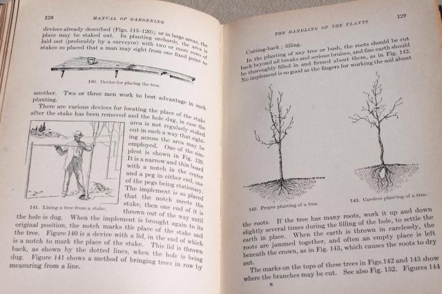 antique garden book, 1910 Manual of Gardening w/ diagrams, engravings, photos