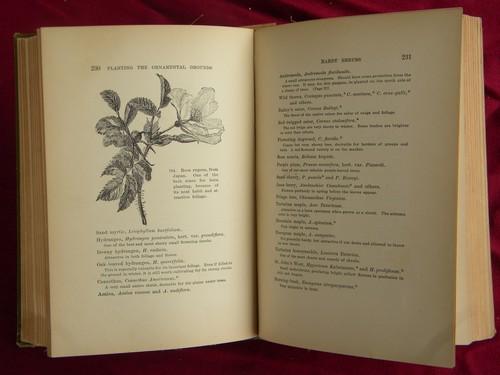 antique gardening book, fruit trees, vegetables, flowers, tools etc