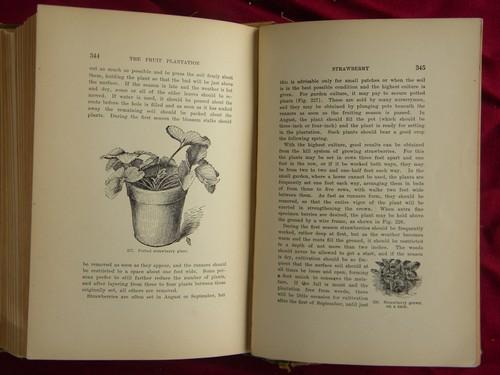 antique gardening book, fruit trees, vegetables, flowers, tools etc