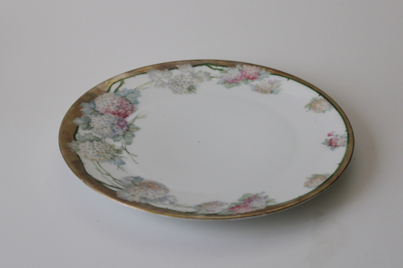 antique hand painted china plate floral border snowball bush flowers hydrangeas