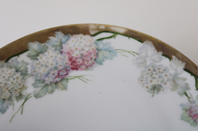 antique hand painted china plate floral border snowball bush flowers hydrangeas