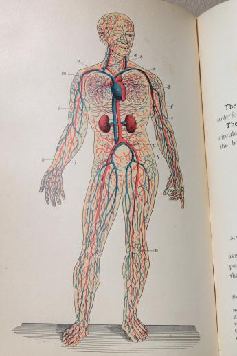 antique medical book, 1880s pro-prohibition physiology text w/ color anatomy prints