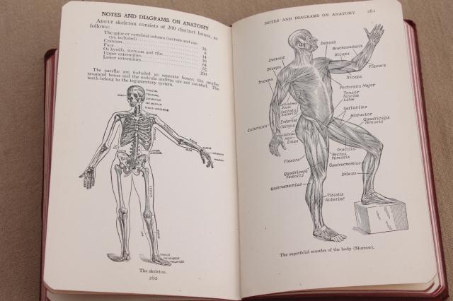 antique medical book, pocket Handbook for Nurses 8th edition vintage 1934