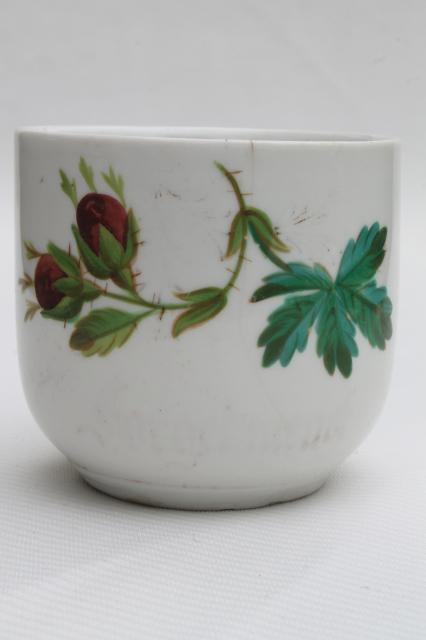 antique mustache cup, old moss rose china Victorian / Edwardian vintage