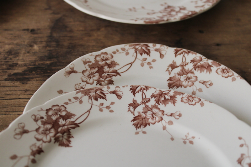 antique vintage English ironstone china plates, Severn brown floral transferware