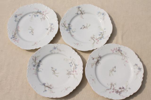 antique vintage Haviland Limoges china plates, blue cornflowers w/ pink