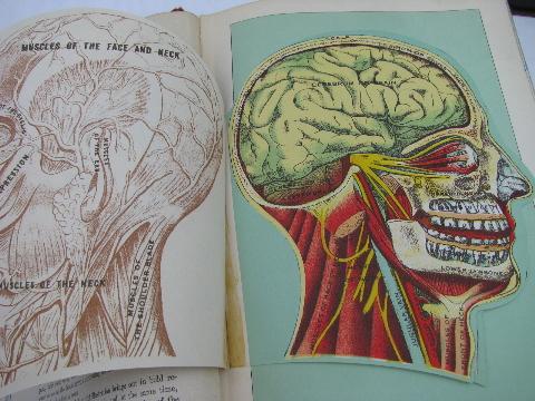 antique vintage medical health books, many litho illustrations, anatomy fold-outs