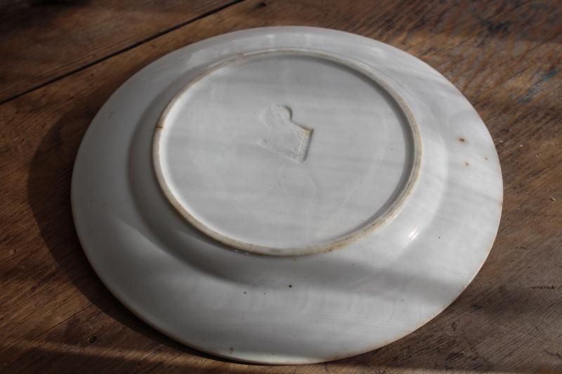 antique white ironstone china plate w/ embossed wheat sheaf, 1800s vintage English pottery