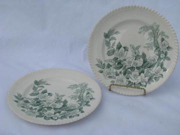 apple blossom vintage green transferware plates Windsorware Johnson Bros china