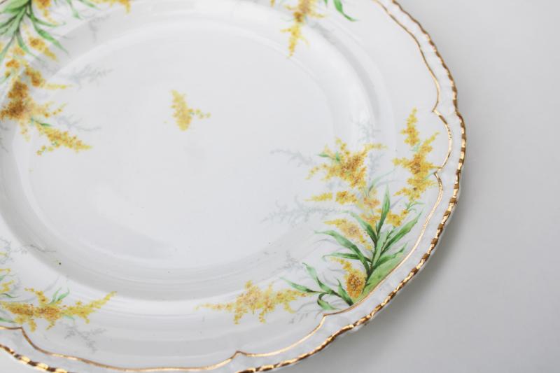 autumn goldenrod flowers set of vintage dinner plates, John Maddock English ironstone 