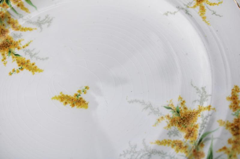 autumn goldenrod flowers set of vintage dinner plates, John Maddock English ironstone 