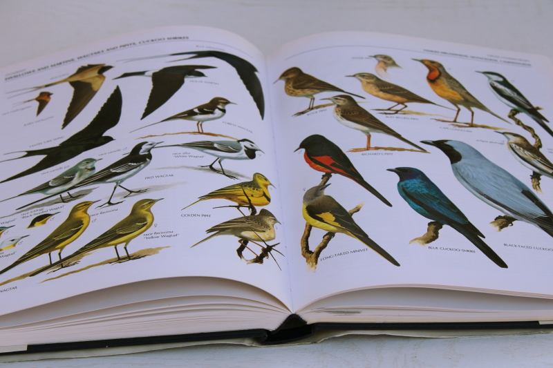 big coffee table book Illustrated Encyclopedia of Birds in color, natural history