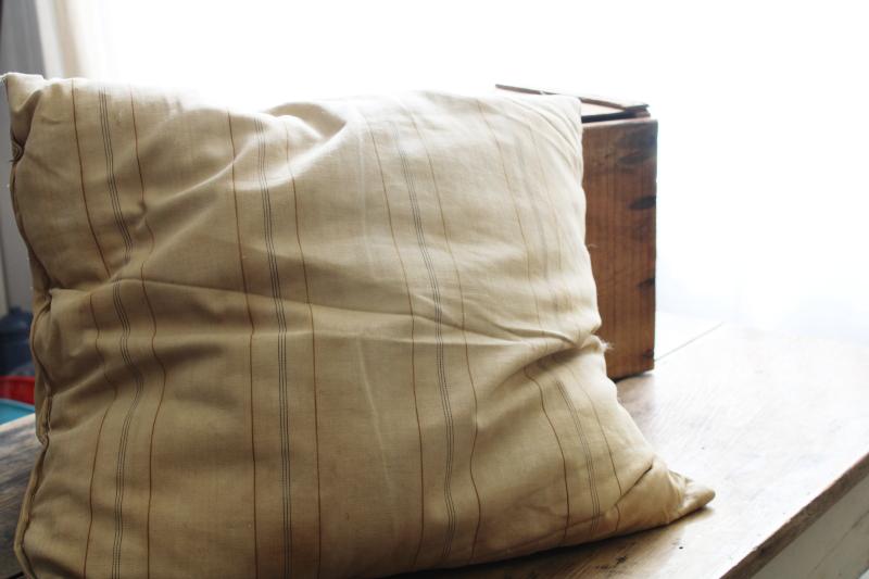 big old feather pillow, square cushion primitive vintage brown stripe cotton ticking