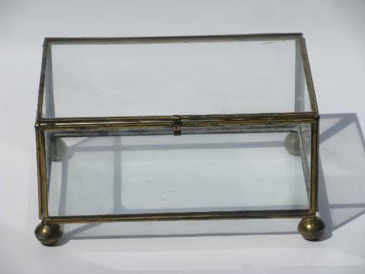 brass edged glass display box for treasures or natural history mounts